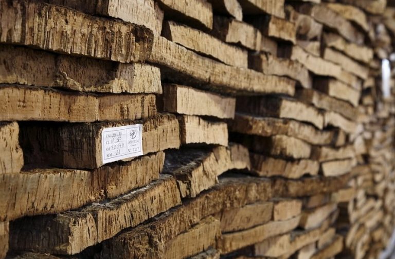 Corticeira Amorim com lucros de 35 milhões no primeiro semestre