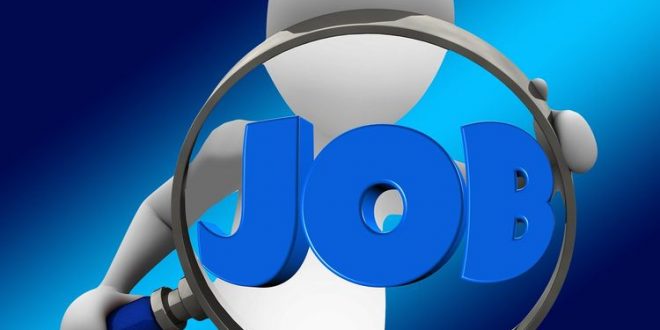 recrutar autoridade tributária emprego jovem CV contratação de desempregados ikea pme magazine