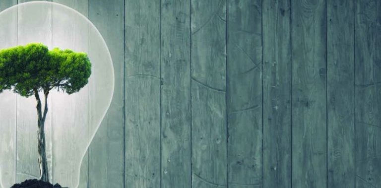 InnoEnergy quer financiar startups portuguesas de energia