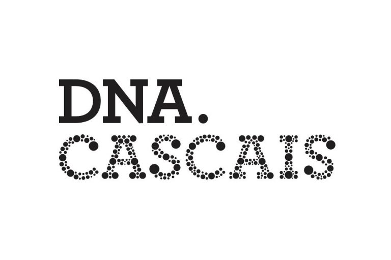 Em dez anos a DNA Cascais já apoiou 292 startups