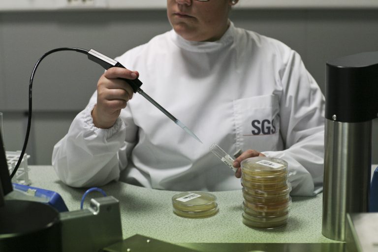 SGS Portugal atinge os 23 milhões de euros em volume de negócios