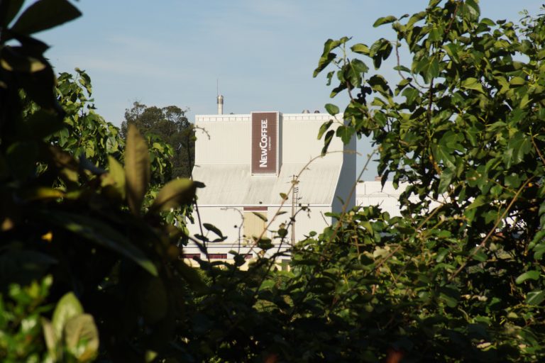 A NewCoffee Co reformula imagem de quatro das suas marcas