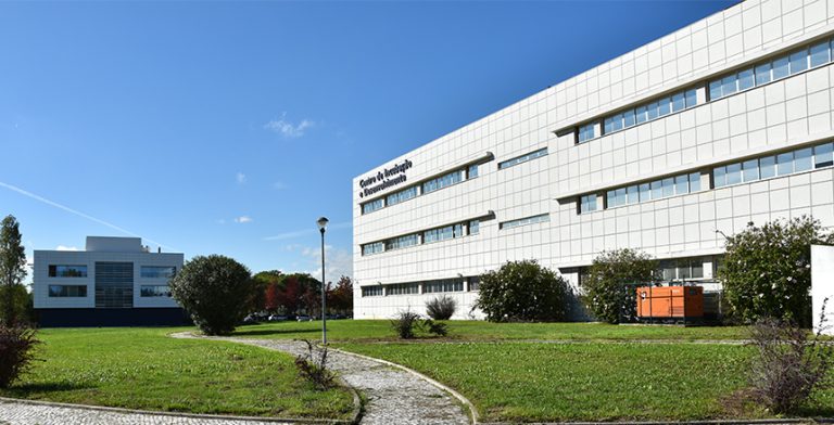 Como ajudar empresas a chegar à idade adulta?