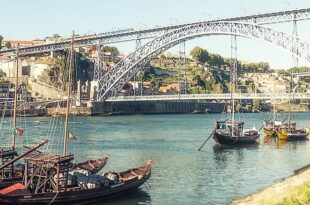 Revitaliza Porto empresas