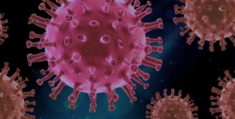 Madeira encurta o período de isolamento de infetados com Covid-19
