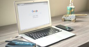 Portugal bolsas competências digitais Google