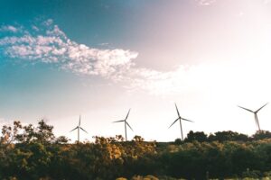 GreenVolt Profit Energy sustentabilidade ambiente energias renováveis