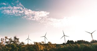 GreenVolt Profit Energy sustentabilidade ambiente energias renováveis