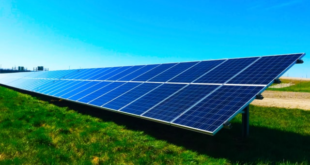 Central Fotovoltaica da Quinta do Anjo NextEnergy energia renovável ambiente painéis solares