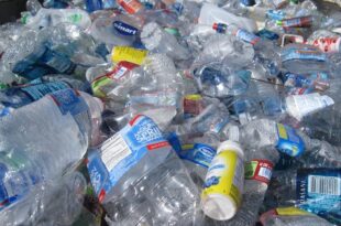 Plástico plastico de uso único diretiva europeia Associação Portuguesa de Empresas de Distribuição APED ambiente poluição