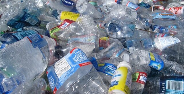 Plástico plastico de uso único diretiva europeia Associação Portuguesa de Empresas de Distribuição APED ambiente poluição