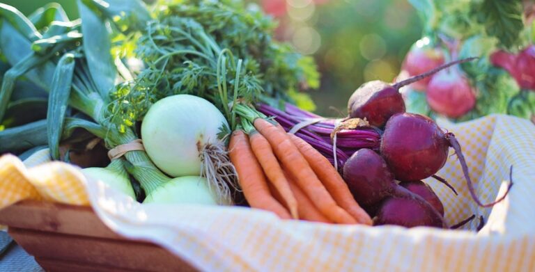 Exportações no agroalimentar crescem face ao período pré-pandemia