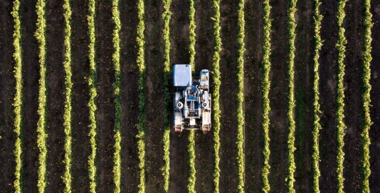 Setor da Agricultura recebe pacote de apoios de 300 milhões