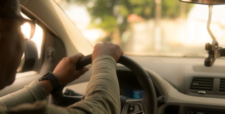 Uber lança novo serviço para viajar com animais de estimação em Portugal