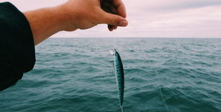 Aberto concurso para projetos de inovação na pesca