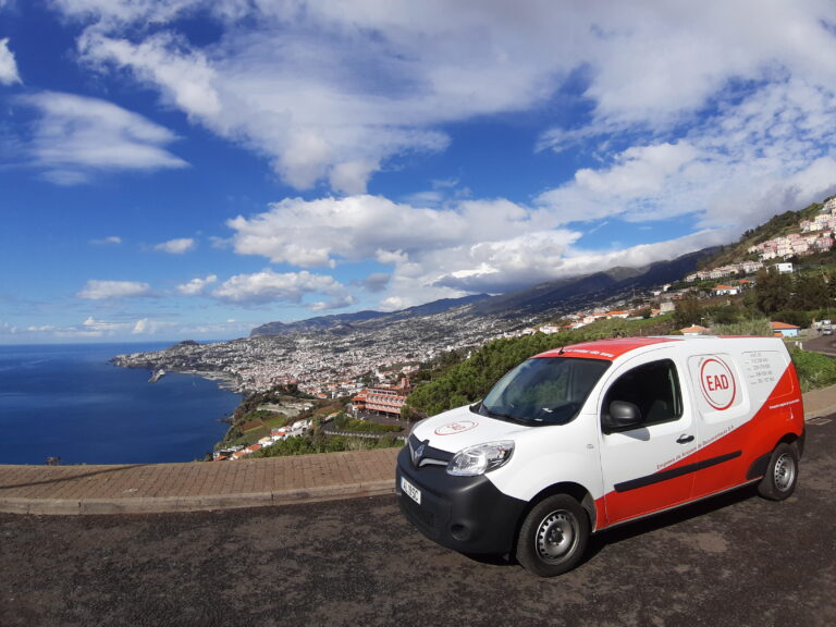 EAD quer superar um milhão de documentos digitalizados em 2022 na Madeira