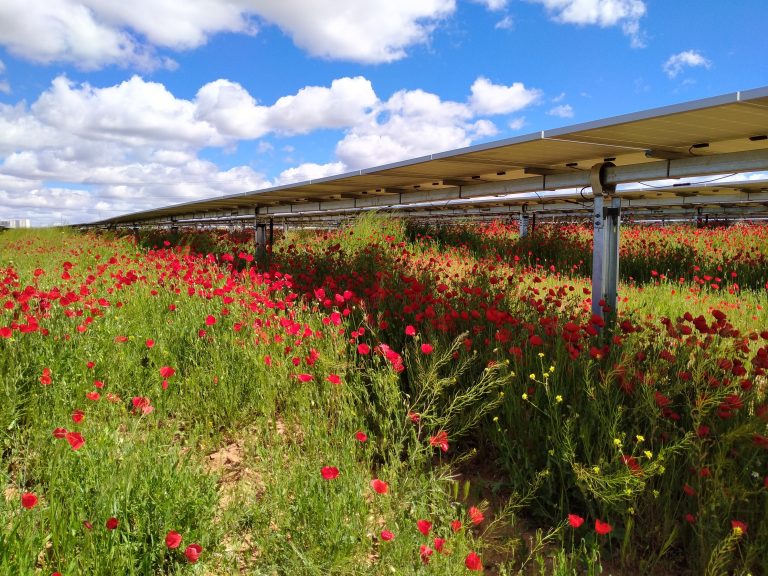 Iberdrola implementa novo projeto de energia renovável em Albufeira
