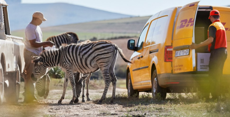 Chimpazé, abutres até carros do James Bond. DHL partilha entregas improváveis de 2024