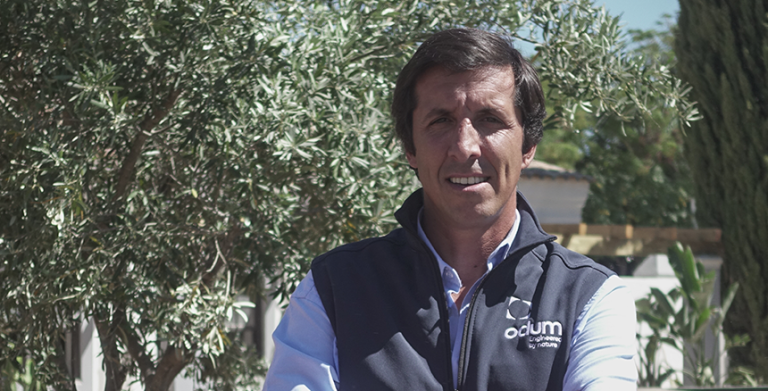 “A utilização da madeira é uma tendência na construção” – Miguel Amaral