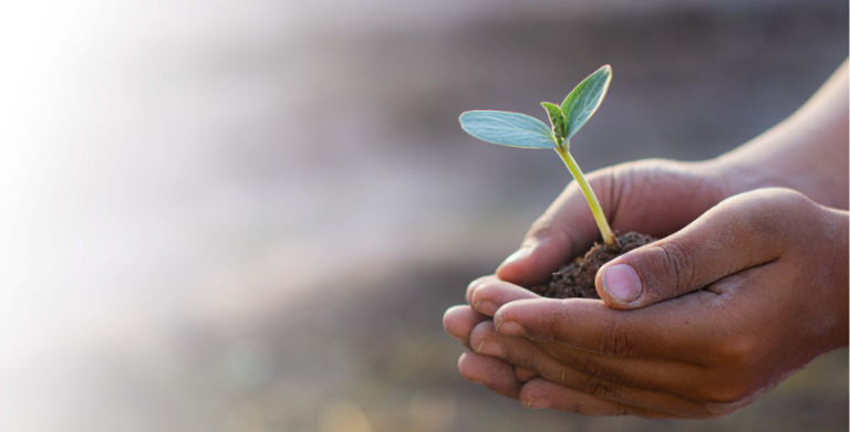 4º Barómetro – Sustentabilidade: modelos de gestão, qualidade e impacto ambiental