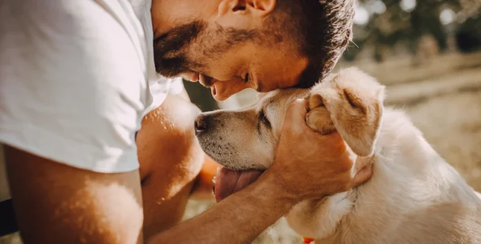 Homem bonito a afagar um cão